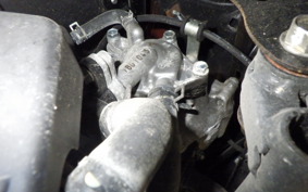 HONDA TACT-4ﾍﾞｰｼｯｸ AF79