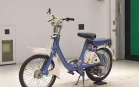 HONDA LITTLE 2019 P25
