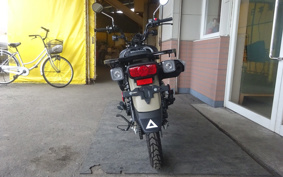 HONDA CT125 HUNTER CUB JA55