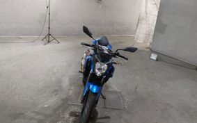 KAWASAKI Z250 SL BR250E