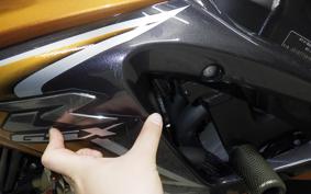 SUZUKI GSX-R1000 2008