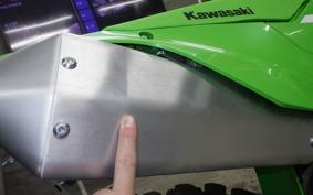 KAWASAKI KX250 2007 KX252E