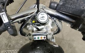 YAMAHA VIRAGO 250 3DM