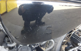 HARLEY XL1200N 2008 CZ3