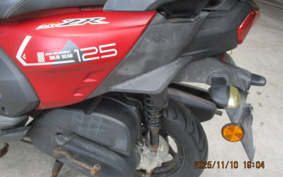 YAMAHA  CYGNUS RAY ZR SEG4