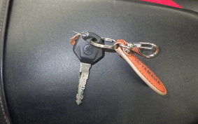 YAMAHA YZF-R25 1996 RG10J