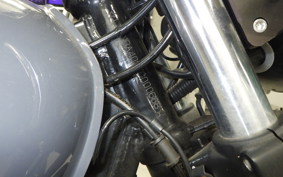 OTHER +UNREGISTERED MODEL by BDS250 1992