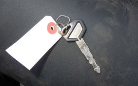 KAWASAKI KLX250 LX250E