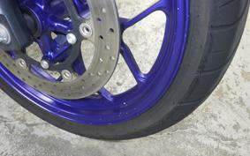 YAMAHA YZF-R25 2024 RG10J
