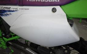 KAWASAKI KLX250 Gen.2 2002 LX250S