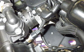 HONDA REBEL 250 S 2024 MC49