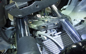 SUZUKI GSX250RA 2006