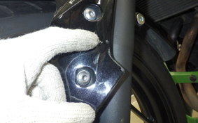 KAWASAKI Z300 2022
