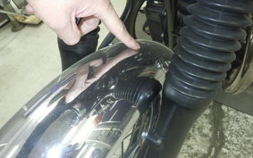 KAWASAKI W800 2015 EJ800A