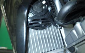 HONDA CRF250L MD44