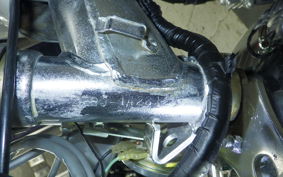 HONDA MONKEY 2021 Z50J