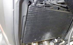 HONDA NX400 2024 NC65