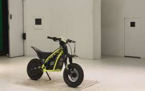 TRIUMPH TXP-12