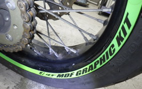 KAWASAKI KLX250D TRACKER X 2024 LX250V