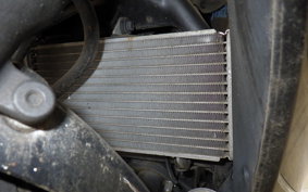 HONDA CBR250R CS250C