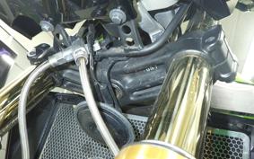 KAWASAKI ZRX1200 D 2011 ZRT20D