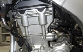 YAMAHA WR250R 2025 DG15J