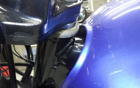 KAWASAKI ESTRELLA RS 1982 BJ250A