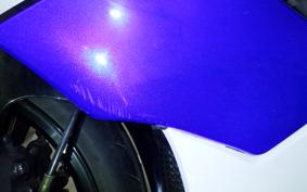 SUZUKI GSX-R1000 2006