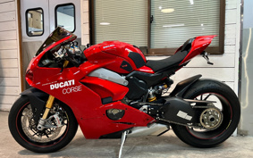 DUCATI PANIGA-REV4S 2019 DA00J