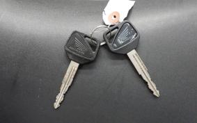 HONDA CBR1100XX 2001