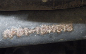 HONDA TODAY 1983 AF61