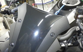 KAWASAKI ZH2 2025 ZRT00R