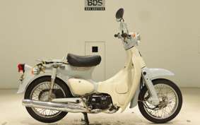 HONDA LITTLE CUB E AA01