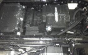 HARLEY FXST1750 2024