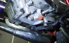 HONDA MONKEY 2024 Z50A