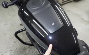 HARLEY RH975 2022