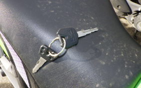 KAWASAKI NINJA 250 ABS EX250L