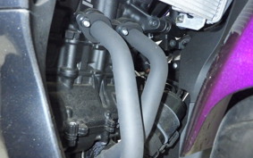 YAMAHA YZF R-3 2025 RH21J