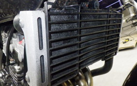 HONDA HORNET 250 MC31