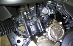 SUZUKI ｼﾞｸｻｰ250 ED22Y