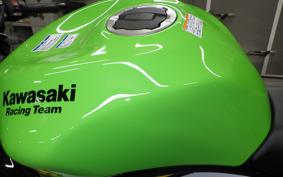 KAWASAKI NINJA ZX-6R A 2025 ZX636J