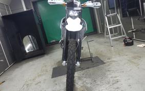 BMW G450X 2009