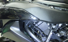 KAWASAKI ZH2 2021 ZRT00K