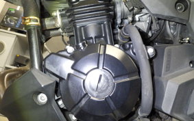 KAWASAKI VERSYS-X 250 A 2009 LE250D