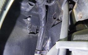 HONDA LEAD 110 2025 JF19