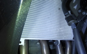 KAWASAKI NINJA 1000 SX 2024 ZXT02K