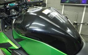 KAWASAKI Z250 SL 2016 BR250E