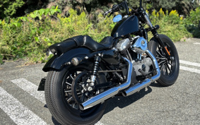 HARLEY HARLEY XL1200N 2010 CZ3