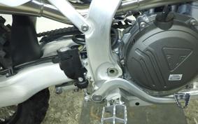TRIUMPH TF250-X