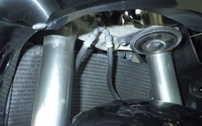 HONDA CBR929RR 2000